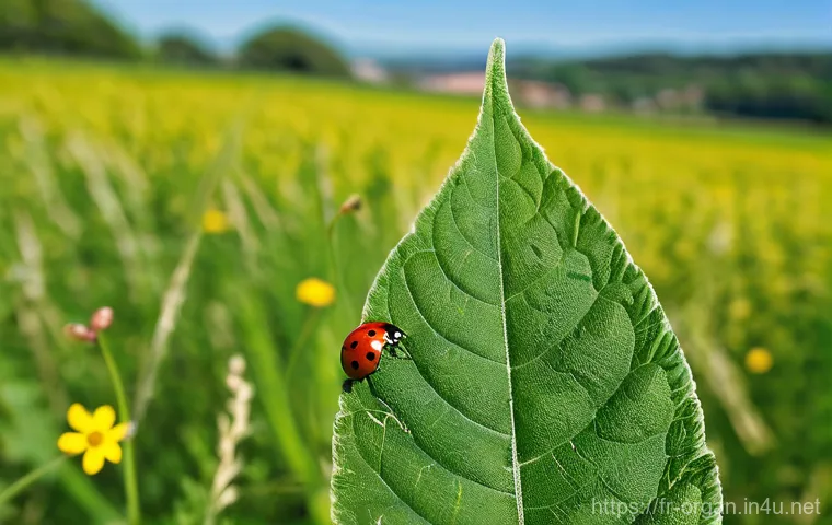 유기농업 실무와 이론을 연결하는 법 - **Thriving organic soil and compost:** A vibrant, detailed shot showcasing the rich biodiversity of ...
