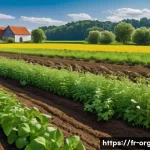 Home 19 유기농업 현장 실무 - A vibrant organic farm scene showcasing a diverse soil ecosystem with rich microbial life, decomposi...