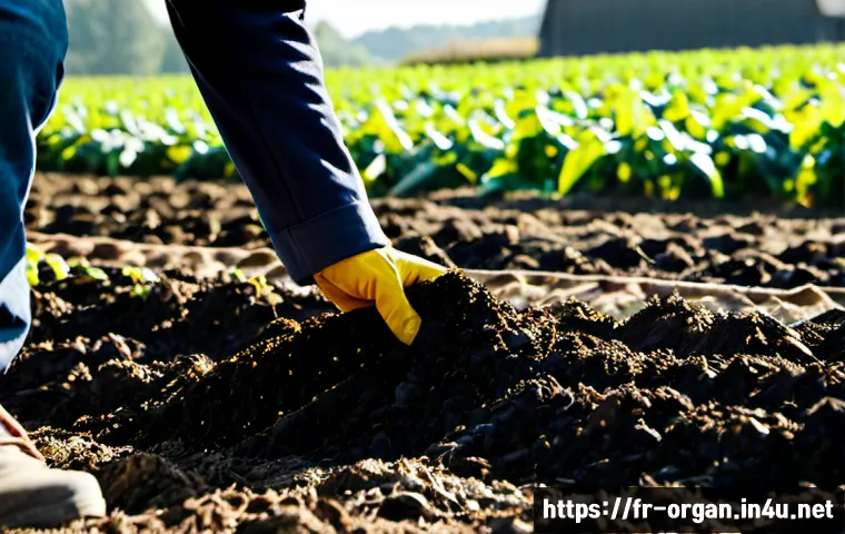 Home 17 유기농업 실무에서의 핵심 기술 - Photorealistic organic farming field in rural France, experienced farmer in practical work clothes i...
